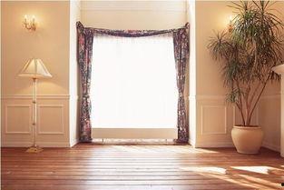 爆料窗帘假货怎么办啊视频,如何应对爆料视频中的维权之道